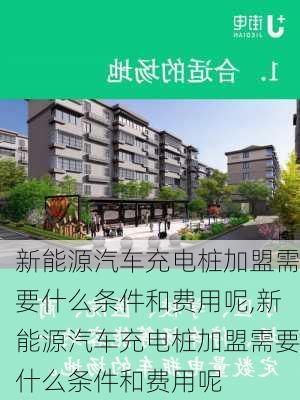 新能源汽车充电桩加盟需要什么条件和费用呢,新能源汽车充电桩加盟需要什么条件和费用呢-第3张图片-苏希特新能源