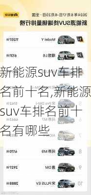 新能源suv车排名前十名,新能源suv车排名前十名有哪些-第3张图片-苏希特新能源