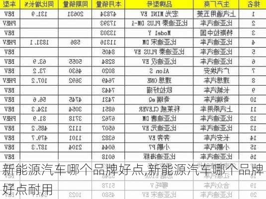 新能源汽车哪个品牌好点,新能源汽车哪个品牌好点耐用