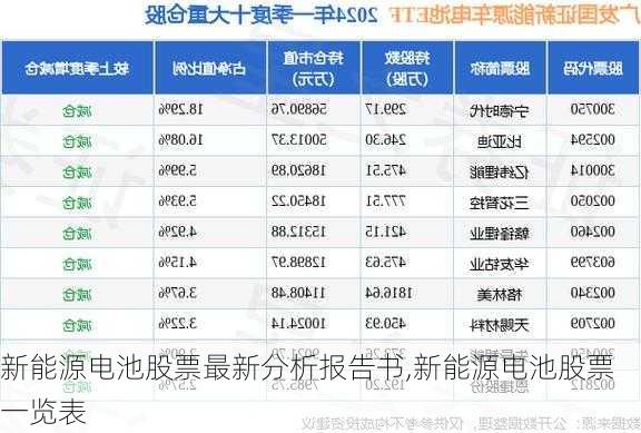 新能源电池股票最新分析报告书,新能源电池股票一览表-第2张图片-苏希特新能源