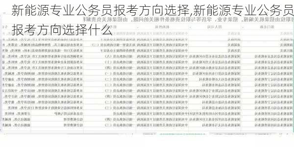 新能源专业公务员报考方向选择,新能源专业公务员报考方向选择什么-第1张图片-苏希特新能源