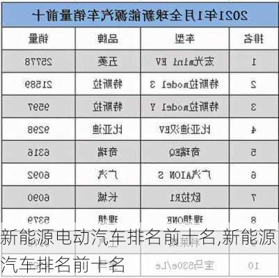 新能源电动汽车排名前十名,新能源汽车排名前十名-第2张图片-苏希特新能源