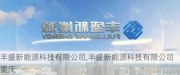 丰盛新能源科技有限公司,丰盛新能源科技有限公司重庆-第2张图片-苏希特新能源