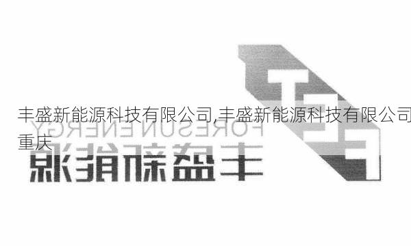 丰盛新能源科技有限公司,丰盛新能源科技有限公司重庆-第3张图片-苏希特新能源