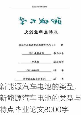 新能源汽车电池的类型,新能源汽车电池的类型与特点毕业论文8000字-第3张图片-苏希特新能源