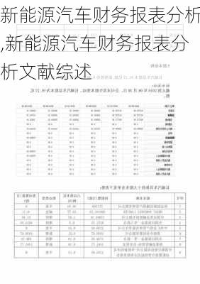 新能源汽车财务报表分析,新能源汽车财务报表分析文献综述-第2张图片-苏希特新能源