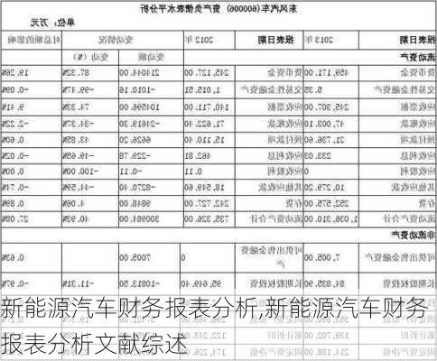 新能源汽车财务报表分析,新能源汽车财务报表分析文献综述-第1张图片-苏希特新能源