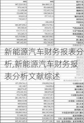 新能源汽车财务报表分析,新能源汽车财务报表分析文献综述-第3张图片-苏希特新能源