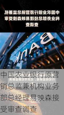 中国农业银行原营销总监兼机构业务部总经理易映森接受审查调查-第1张图片-苏希特新能源