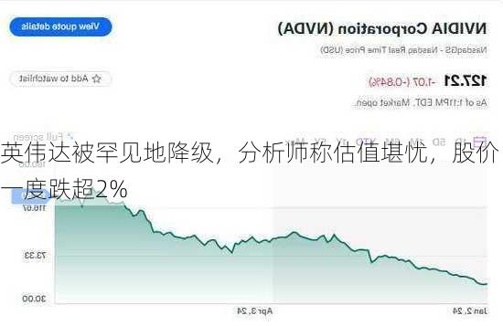 英伟达被罕见地降级，分析师称估值堪忧，股价一度跌超2%-第3张图片-苏希特新能源