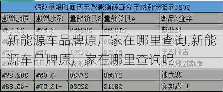 新能源车品牌原厂家在哪里查询,新能源车品牌原厂家在哪里查询呢