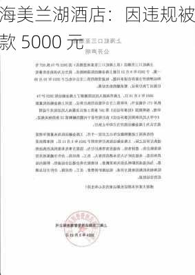 上海美兰湖酒店：因违规被罚款 5000 元-第1张图片-苏希特新能源