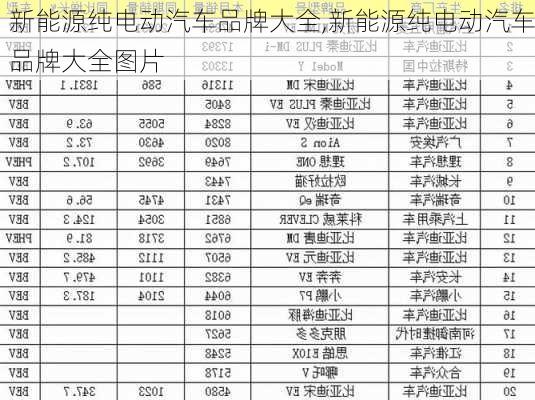 新能源纯电动汽车品牌大全,新能源纯电动汽车品牌大全图片-第2张图片-苏希特新能源