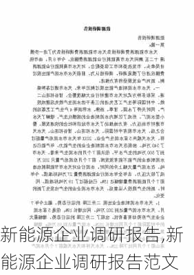 新能源企业调研报告,新能源企业调研报告范文-第1张图片-苏希特新能源