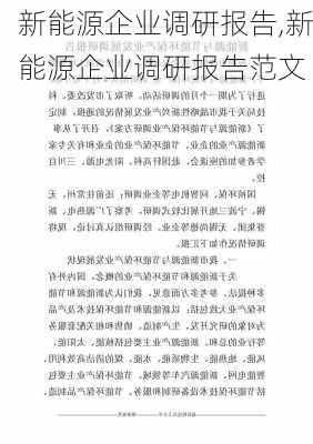 新能源企业调研报告,新能源企业调研报告范文-第2张图片-苏希特新能源