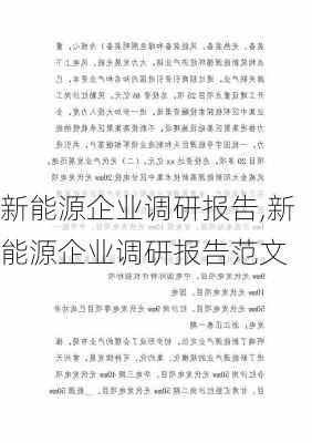 新能源企业调研报告,新能源企业调研报告范文-第3张图片-苏希特新能源