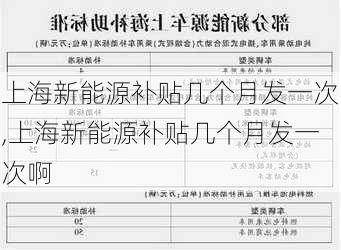 上海新能源补贴几个月发一次,上海新能源补贴几个月发一次啊-第1张图片-苏希特新能源