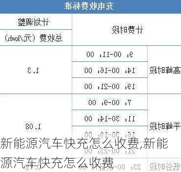 新能源汽车快充怎么收费,新能源汽车快充怎么收费-第3张图片-苏希特新能源