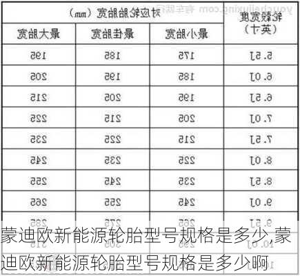 蒙迪欧新能源轮胎型号规格是多少,蒙迪欧新能源轮胎型号规格是多少啊