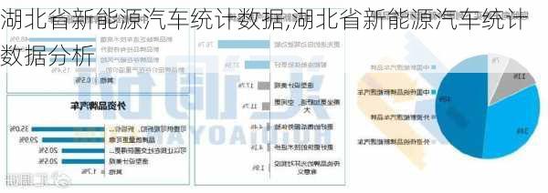 湖北省新能源汽车统计数据,湖北省新能源汽车统计数据分析-第3张图片-苏希特新能源