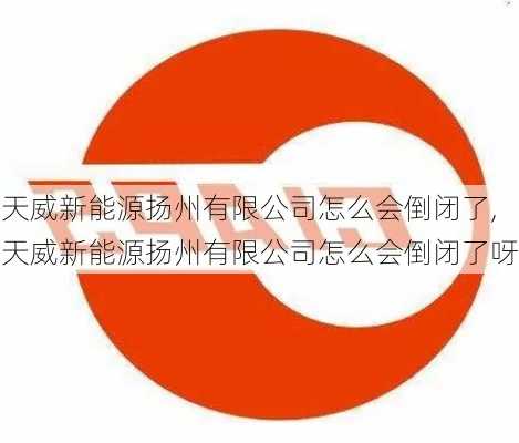 天威新能源扬州有限公司怎么会倒闭了,天威新能源扬州有限公司怎么会倒闭了呀