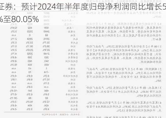 东兴证券：预计2024年半年度归母净利润同比增长51.47%至80.05%-第1张图片-苏希特新能源