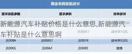 新能源汽车补贴价格是什么意思,新能源汽车补贴是什么意思啊-第1张图片-苏希特新能源