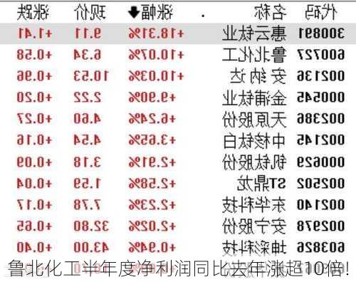 鲁北化工半年度净利润同比去年涨超10倍！-第2张图片-苏希特新能源