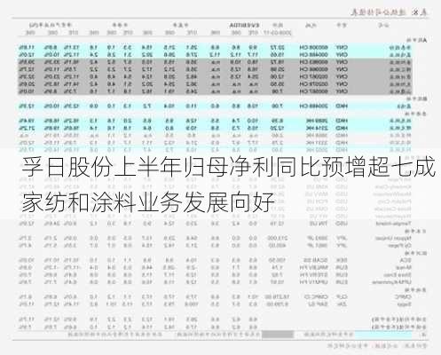 孚日股份上半年归母净利同比预增超七成 家纺和涂料业务发展向好-第2张图片-苏希特新能源