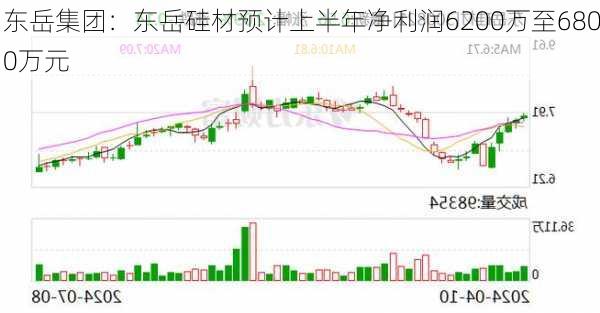 东岳集团：东岳硅材预计上半年净利润6200万至6800万元-第1张图片-苏希特新能源