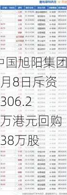 中国旭阳集团7月8日斥资1306.22万港元回购438万股-第1张图片-苏希特新能源