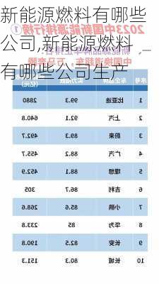 新能源燃料有哪些公司,新能源燃料有哪些公司生产-第2张图片-苏希特新能源