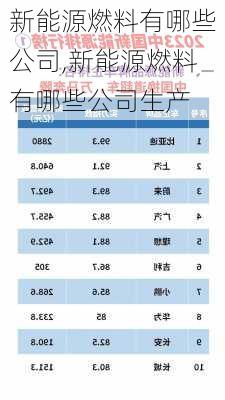 新能源燃料有哪些公司,新能源燃料有哪些公司生产-第3张图片-苏希特新能源