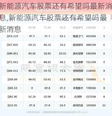 新能源汽车股票还有希望吗最新消息,新能源汽车股票还有希望吗最新消息-第1张图片-苏希特新能源