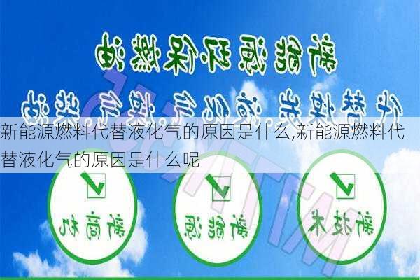 新能源燃料代替液化气的原因是什么,新能源燃料代替液化气的原因是什么呢-第2张图片-苏希特新能源