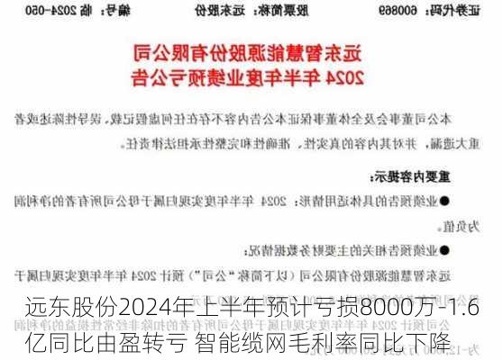 远东股份2024年上半年预计亏损8000万-1.6亿同比由盈转亏 智能缆网毛利率同比下降