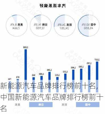 新能源汽车品牌排行榜前十名,中国新能源汽车品牌排行榜前十名-第2张图片-苏希特新能源