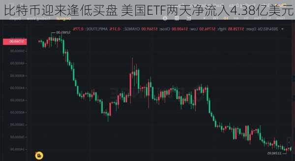 比特币迎来逢低买盘 美国ETF两天净流入4.38亿美元-第1张图片-苏希特新能源