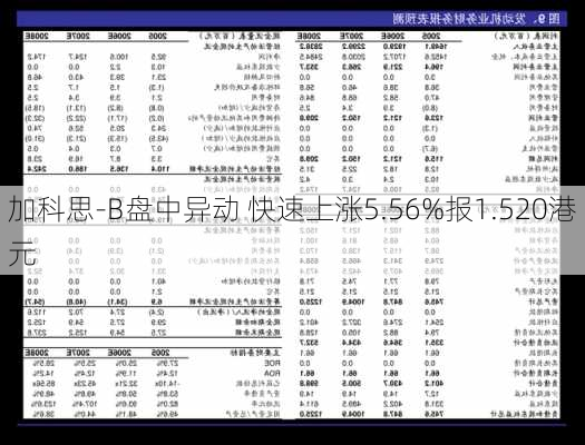 加科思-B盘中异动 快速上涨5.56%报1.520港元-第1张图片-苏希特新能源