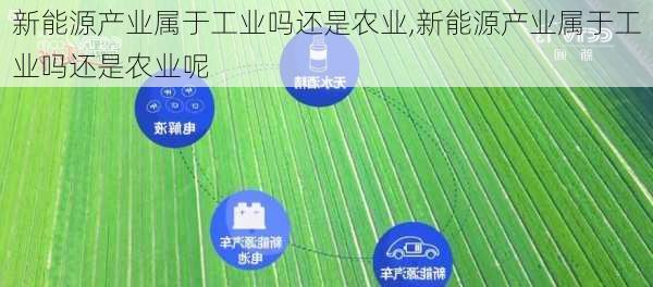 新能源产业属于工业吗还是农业,新能源产业属于工业吗还是农业呢