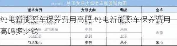 纯电新能源车保养费用高吗,纯电新能源车保养费用高吗多少钱-第2张图片-苏希特新能源