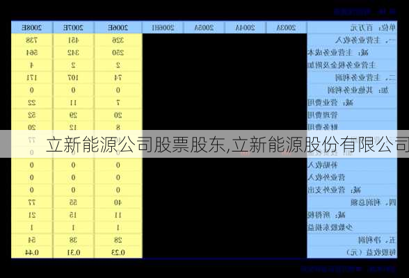 立新能源公司股票股东,立新能源股份有限公司-第2张图片-苏希特新能源