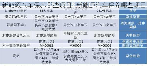 新能源汽车保养哪些项目?,新能源汽车保养哪些项目-第3张图片-苏希特新能源