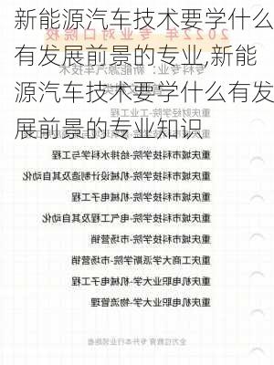 新能源汽车技术要学什么有发展前景的专业,新能源汽车技术要学什么有发展前景的专业知识-第3张图片-苏希特新能源