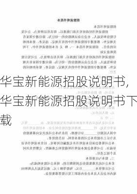 华宝新能源招股说明书,华宝新能源招股说明书下载-第1张图片-苏希特新能源