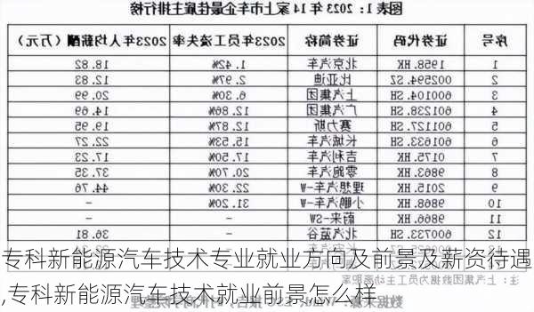 专科新能源汽车技术专业就业方向及前景及薪资待遇,专科新能源汽车技术就业前景怎么样-第2张图片-苏希特新能源