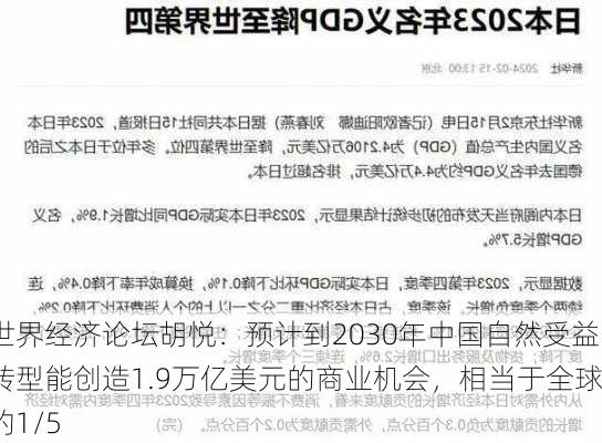 世界经济论坛胡悦：预计到2030年中国自然受益转型能创造1.9万亿美元的商业机会，相当于全球的1/5-第2张图片-苏希特新能源