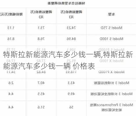 特斯拉新能源汽车多少钱一辆,特斯拉新能源汽车多少钱一辆 价格表-第2张图片-苏希特新能源