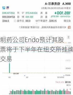 制药公司Endo预计其股票将于下半年在纽交所挂牌交易-第1张图片-苏希特新能源