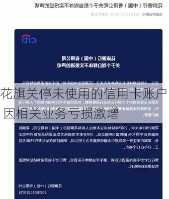 花旗关停未使用的信用卡账户 因相关业务亏损激增-第3张图片-苏希特新能源